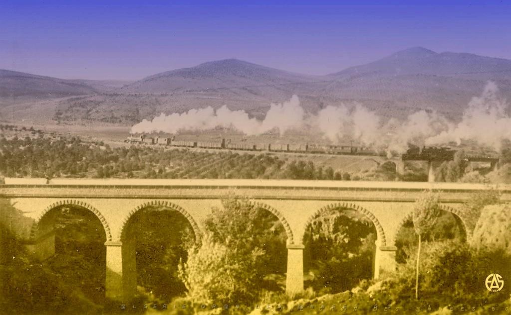 SAIDA 519  TRAIN SORTANT DE LA GARE.jpg
